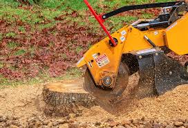 Lawn Grading and Leveling in Shallowater, TX